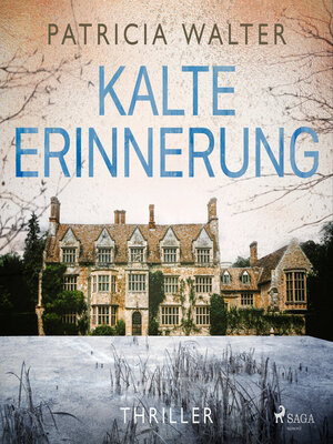 cover image of Kalte Erinnerung
